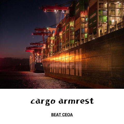 cargo armrest