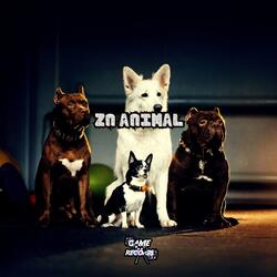 ZN Animal