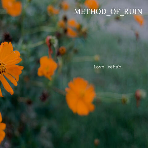 Love Rehab