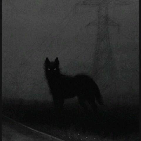 Dark Wolf