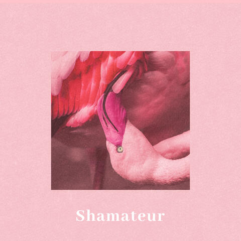 Shamateur