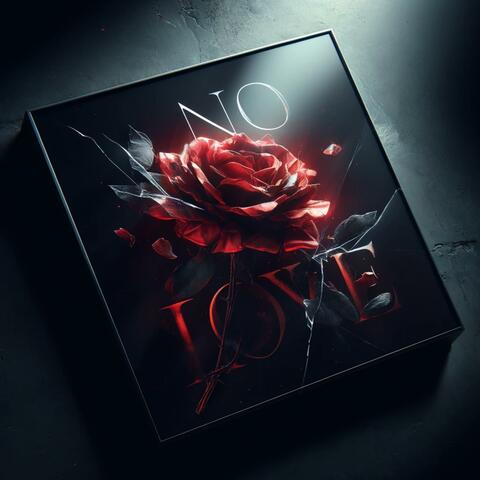 No Love
