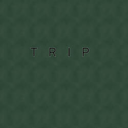 Trip