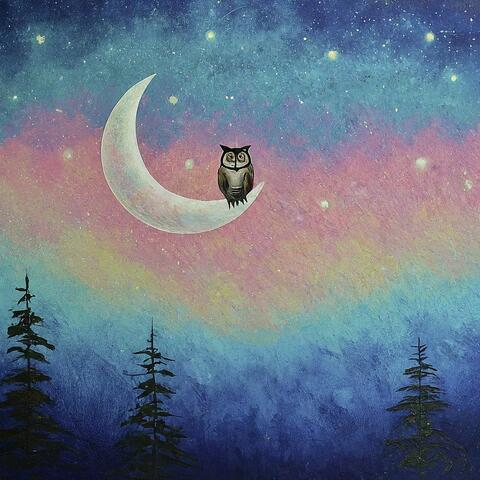 夜を待つフクロウ