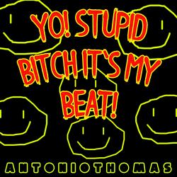 Yo! Stupid Bitch It's My Beat!