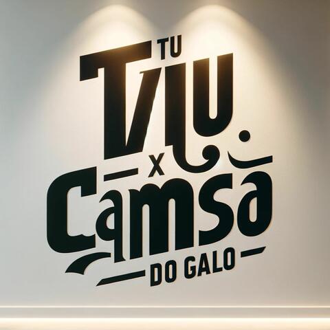 Camisa do galo x tu viu