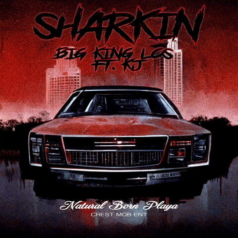 SHARKIN