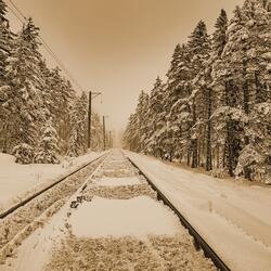 Winter Dream