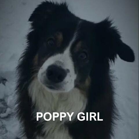 Poppy Girl