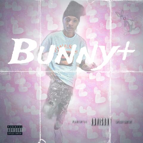 Bunny+