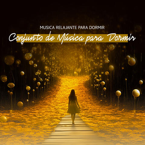 Conjunto de Música para Dormir
