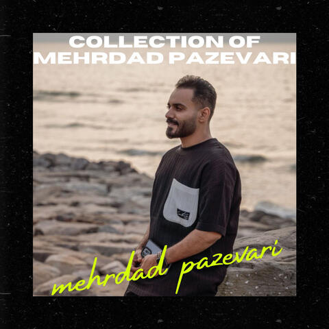 Collection Of Mehrdad Pazevari