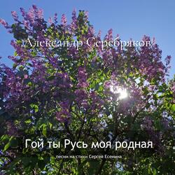 О Муза друг мой гибкий