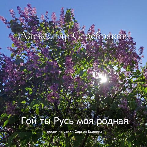 Гой ты Русь моя родная