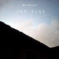 Sky High