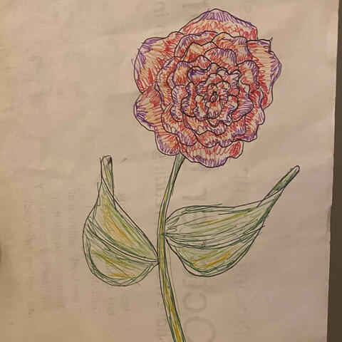Love and All Its Petals