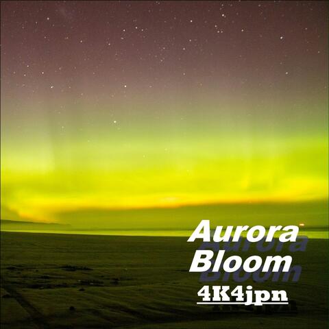 Aurora Bloom