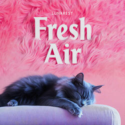 Fresh Air