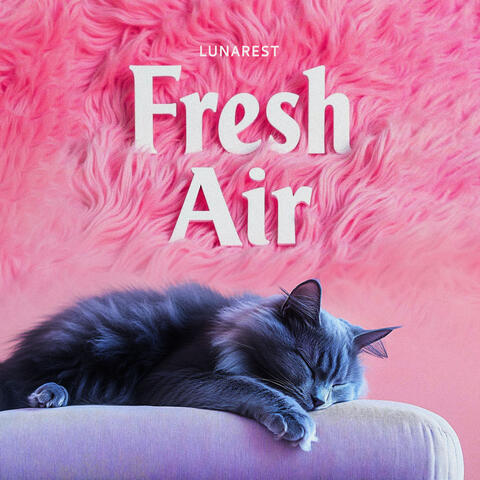 Fresh Air