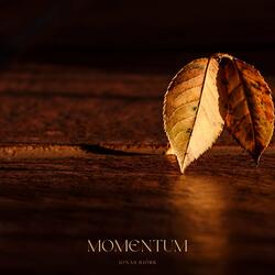 Momentum