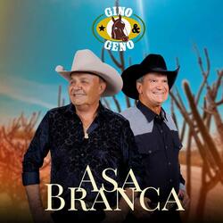 Asa Branca