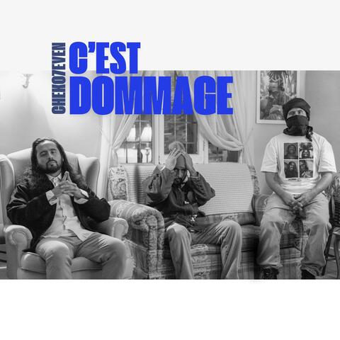 C'est dommage