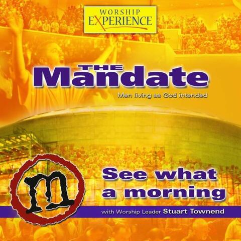 See What A Morning