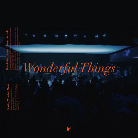 Wonderful Things