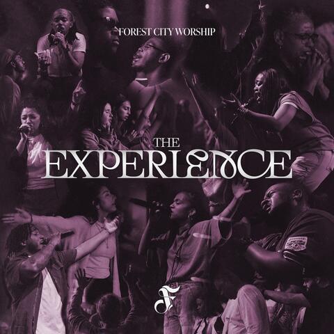 The Experience