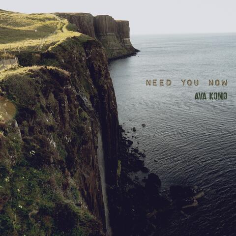 Need You Now