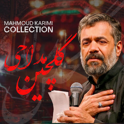 Mahmoud Karimi Collection
