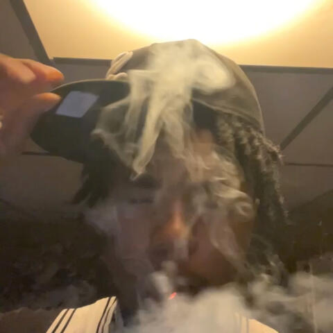 Motion Picture