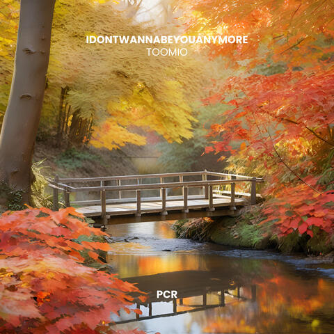 Idontwannabeyouanymore