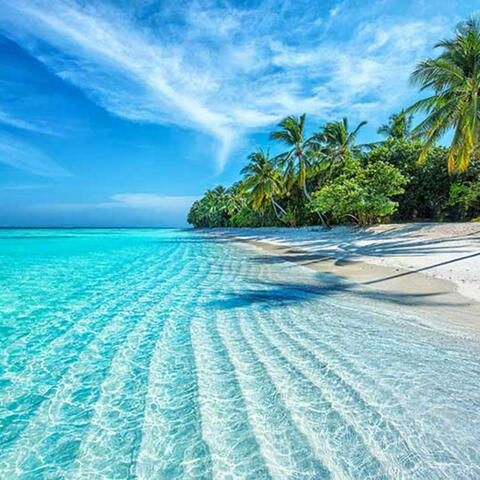 Beaches Are A Great