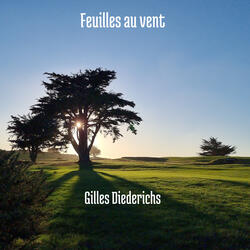 Feuilles au vent