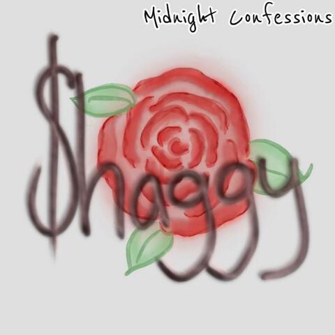 Midnight Confessions