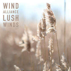 Lush Winds