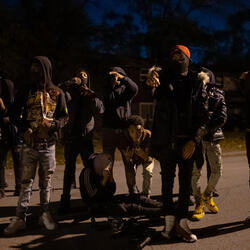 Gorillas