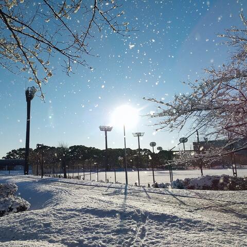 Music That Evokes the Image of a Frozen Land