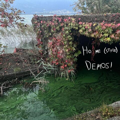 home (style) demos!