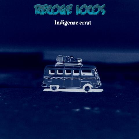 Recoge locos