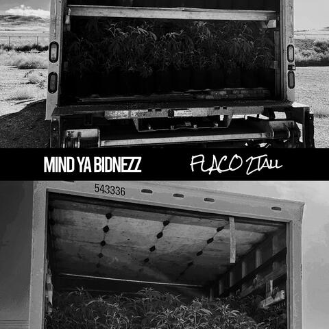 MIND YA BIDNEZZ