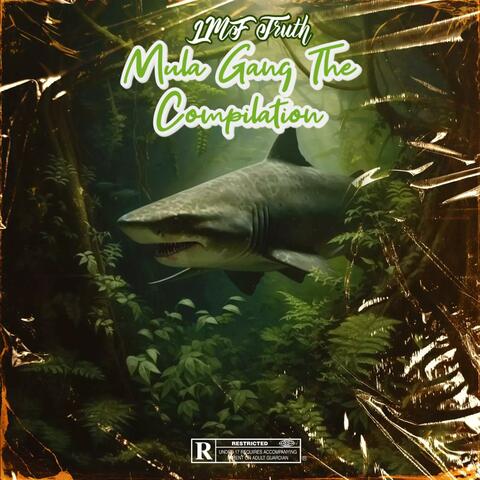 Mula Gang The Compilation