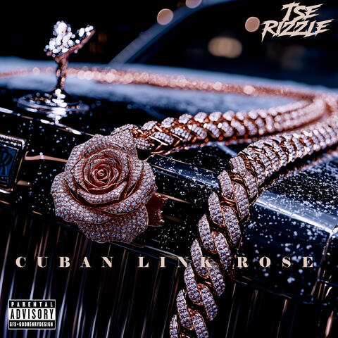 Cuban Link Rose