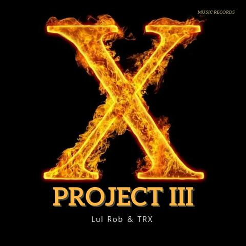 Project X III