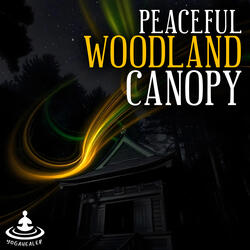 Peaceful Woodland Canopy