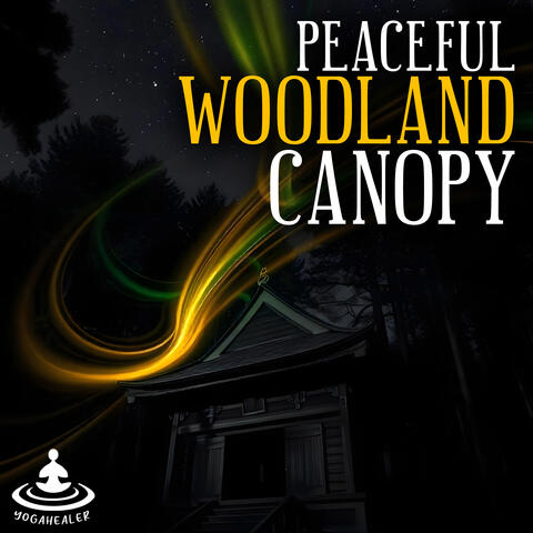 Peaceful Woodland Canopy