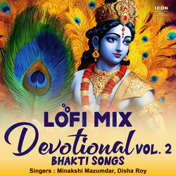 Radhe Kon Se Punya Kiye Tune Lofi