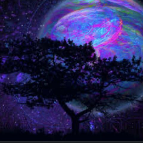 Lost Dreams