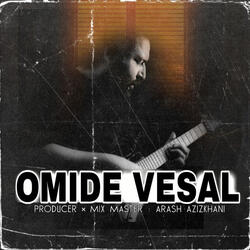 Omide Vesal